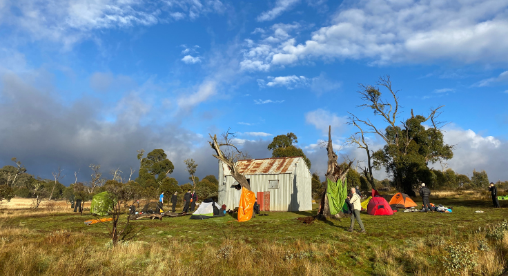 Copy of DA - Card Container - Vertical - Card Container (V) Template