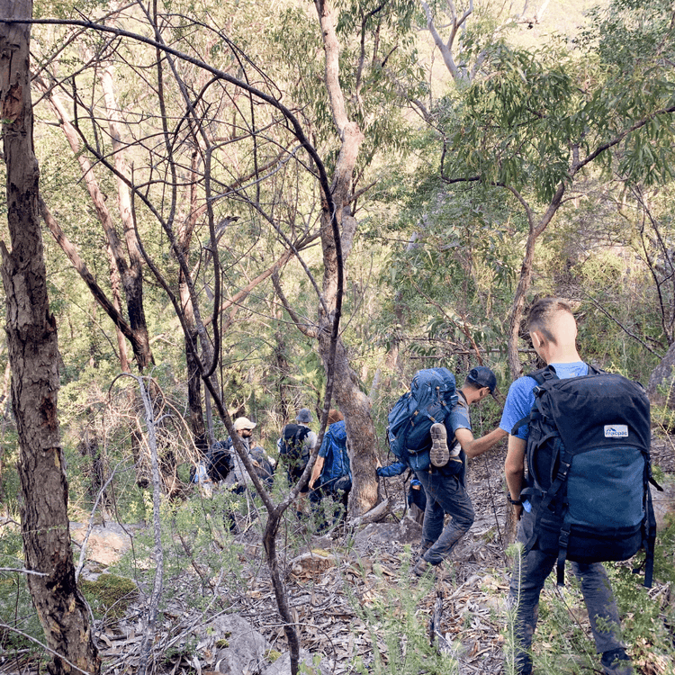 Copy of DA - Banner - 1x1 - Banner Block Template 1_1