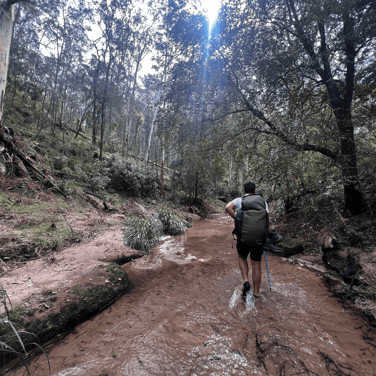 Copy of DA - Banner - 1x1 - Banner Block Template 1_1